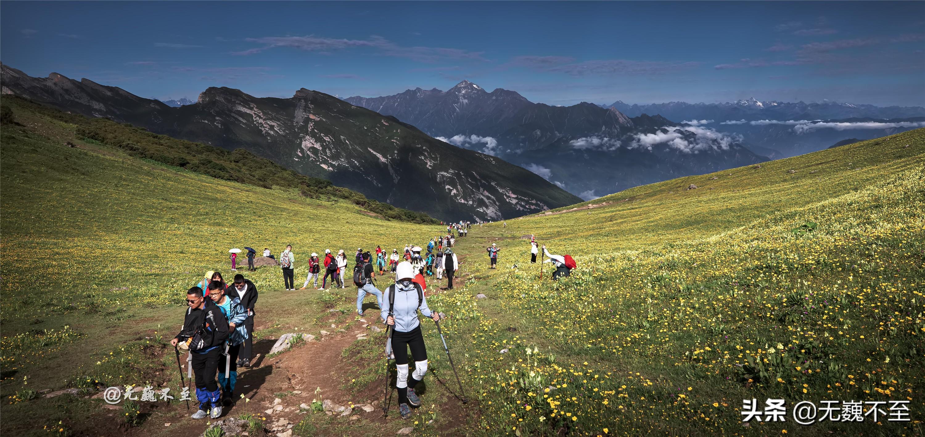 探寻茂县九顶山新篇章，美景如画，活力无限