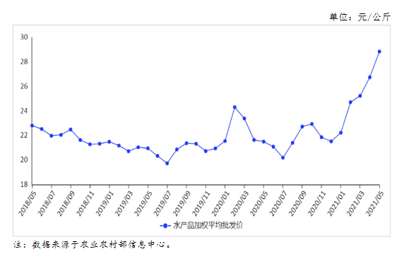 2025年安丘大葱市场最新行情预测及价格走势分析