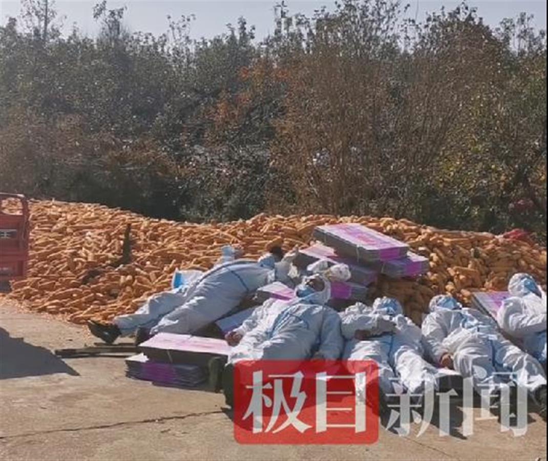 大连地区实施“工作一天休息一天”制度，火热招聘中！